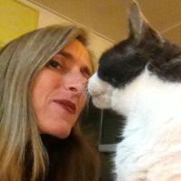 Lisa-levinson.jpg