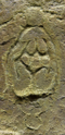 Thumbnail for version as of 00:18, March 5, 2021