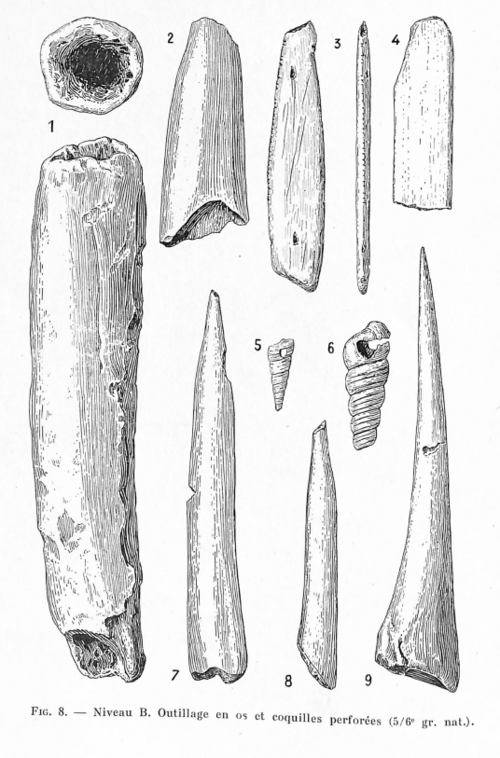 File:Gouerris--st-perier 1927-- fig.08 p.254--niveau B, outils os et coquillages perforés.png