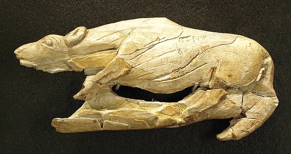 File:Speerschleuder LaMadeleine.jpg