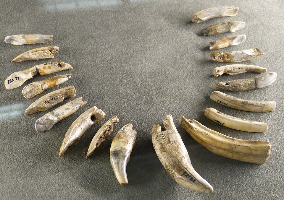File:NHM - Lautsch Kette.jpg